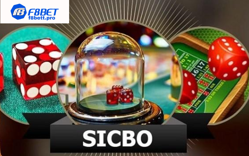 Sicbo - Cách trở thành cao thủ chơi sicbo